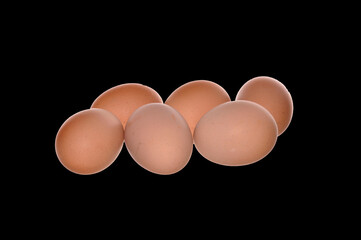 chicken egg isolated on white background