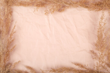 frame in form of dried flowers on beige crumpled background.texture for web design screensavers.