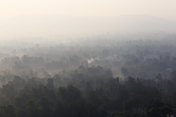 Dense forests in mountain region covered in mist