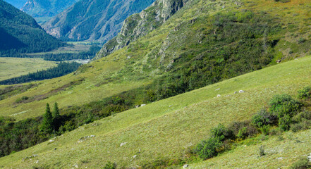 Green valley landscape and small river with mountains on background