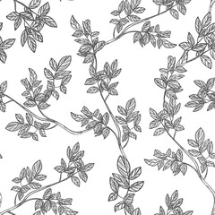 Branches, leaves and flowers. Hand drawing. Black engraving, graphics, line art. Vintage seamless pattern. Black and white. Isolated vector illustration.