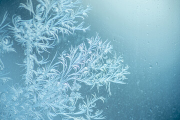 Fototapeta na wymiar Beautiful sparkling natural frost pattern on the blue window glass