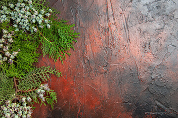 top view pine tree branches with cones on dark red background free space