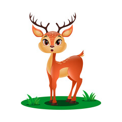 Cute little deer in the grass