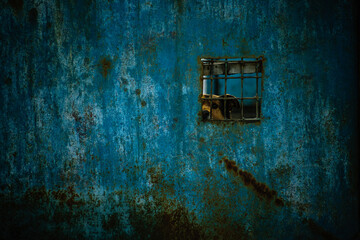 Sad Dog. Sad animal. Prison. 
