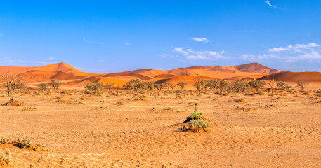 Fototapeta na wymiar beautiful sunrise landscape of sand dunes in Sesriem Namib desert, Namibia, Africa wilderness landscape