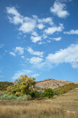 mountain autumn landscape with blue sky