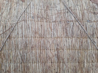 plant winter wear straw texture 1