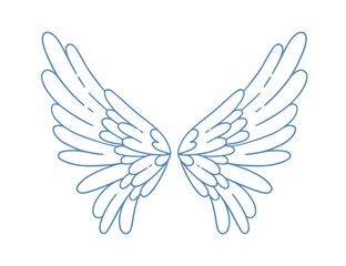 Beautiful angel or bird wings vector illustration in monochrome outline style. Pair of cute wing with feathers decorated by design elements isolated on white. Symbol of heaven and paradise