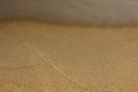 wet sand in the beach