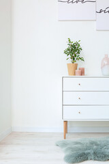 Modern interior of living room with chest of drawers