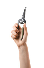 Hand with pruner on white background