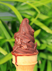 Chocolate Dip Soft Serve Ice Cream Cone Against Blurry Green Foliage
