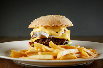super delicious burger with melted cheese and french fries