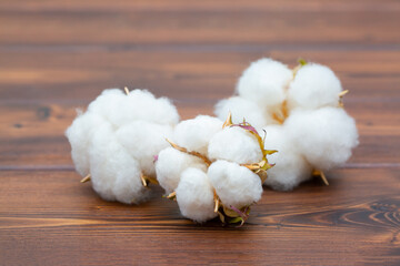 Cotton close-up. The buds of the cotton plant are collected on a wooden background. Environmentally friendly raw materials.