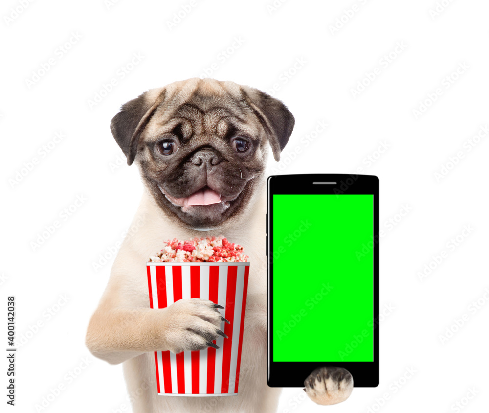 Poster Pug puppy holds basket of a popcorn and smartphone with empty screen. isolated on white background