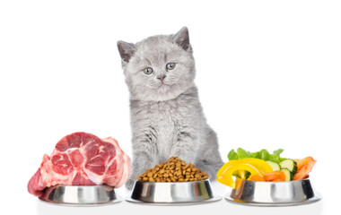 Cute kitten sits with varied food for pets. isolated on white background
