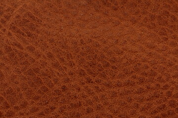 brown leather background