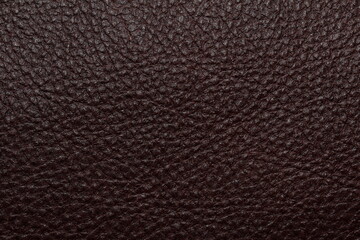 leather background