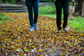Fototapeta premium walking on the street