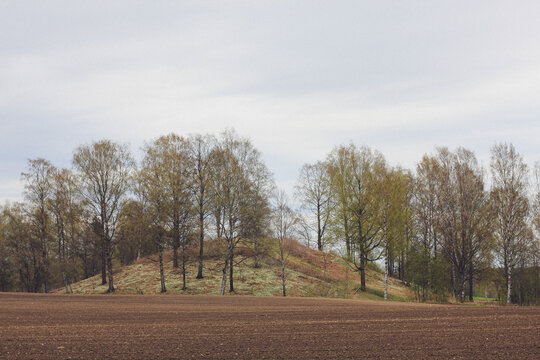 Raknehaugen Burial Mound In Spring