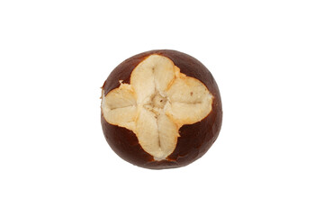 Appetizing fresh bavarian bun isolated on white background. Traditional Bavarian bread. Close-up photo