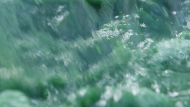 Spirulina, algae, 4K, slow motion