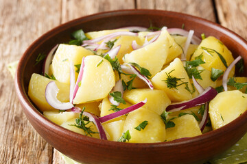Boiled potatoes served with red onions, herbs and olive oil close-up in a bowl on the table. horizontal