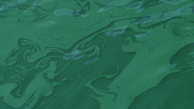 Spirulina, algae, 4K, slow motion