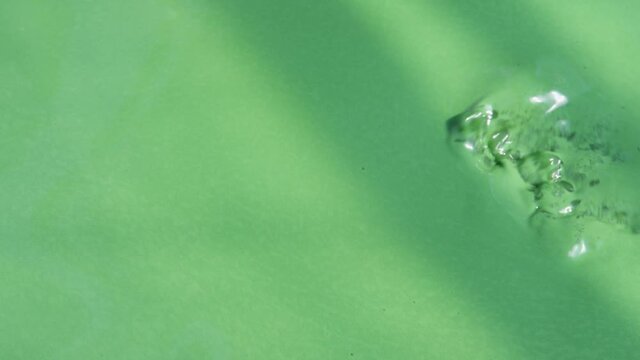 Spirulina, algae, 4K, slow motion