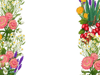 Hand drawn medicinal plant frame. Healing herbs border. isolated on white background