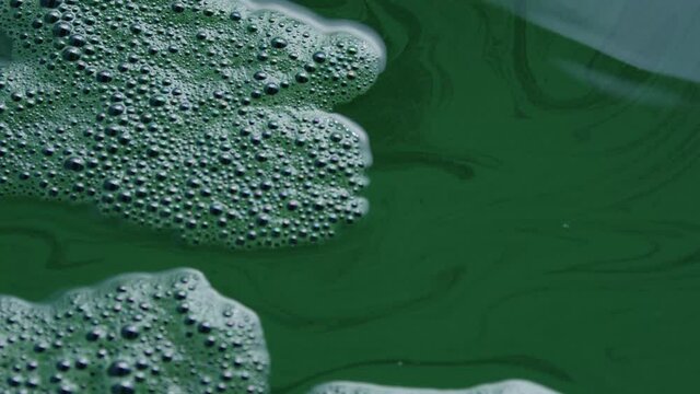 Spirulina, algae, 4K, slow motion