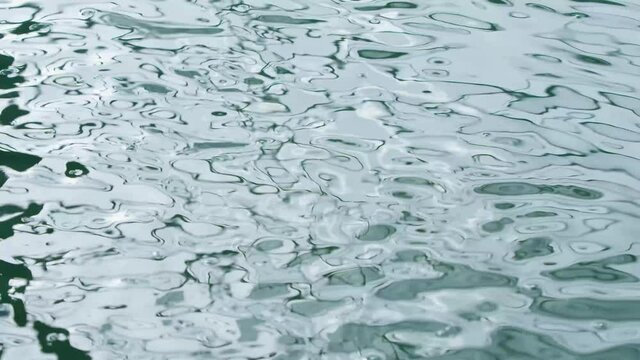 Spirulina, algae, 4K, slow motion