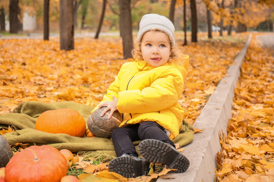 Cute little girl with pumpkins in autumn park