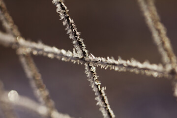 Frost on the iron grid macro. Beautiful winter concept background. Close-up of a frozen iron fence....