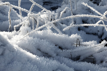 Nature winter background. Winter landscape. Grass covered with frost and snow drifts close-up. Beautiful view of the winter nature. Frost macro photo.Frozen grass.