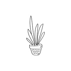 Sansevieria sign. House plant. Flowers in pot. Hand drawn vector doodle illustration