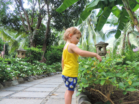 Girl Of Three Years Old Is Walking In Luxury Tropical Garden At Sunset