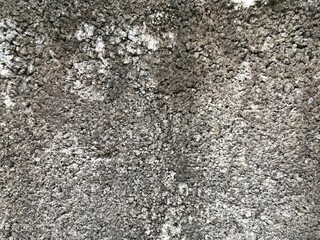 concrete wall texture