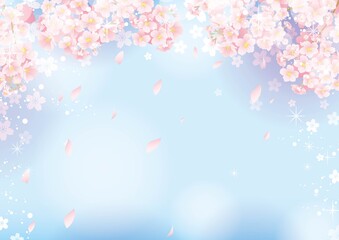 桜の背景03
