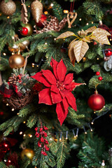 close-up of red poinsettia christmas flower that decorates the christmas tree along with other toys