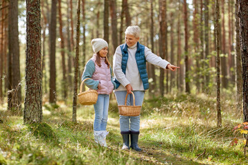 Naklejka na ściany i meble season, leisure and people concept - grandmother and granddaughter with baskets picking mushrooms in forest