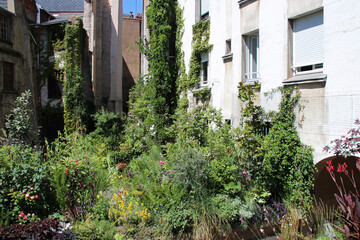Fototapeta na wymiar urban garden in nantes (france)