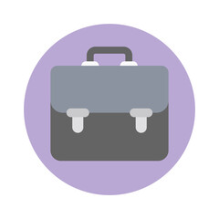 Business case, portfolio flat icon 