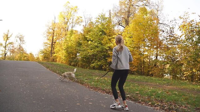 woman in sports clothes, walking in the Park with her beloved dog, decided to jog.