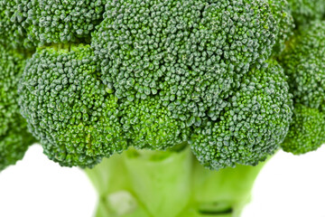 Fresh broccoli vegetables isolated on a white background.