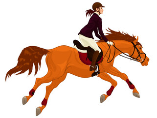 Emblem for equestrianism. Performance at show jumping competitions. Woman dressed in jacket and breeches rides a horse. Stallion gallops with legs stretched out. Vector clip art for equestrian clubs.