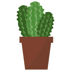 Astrophytum Potted Plant 