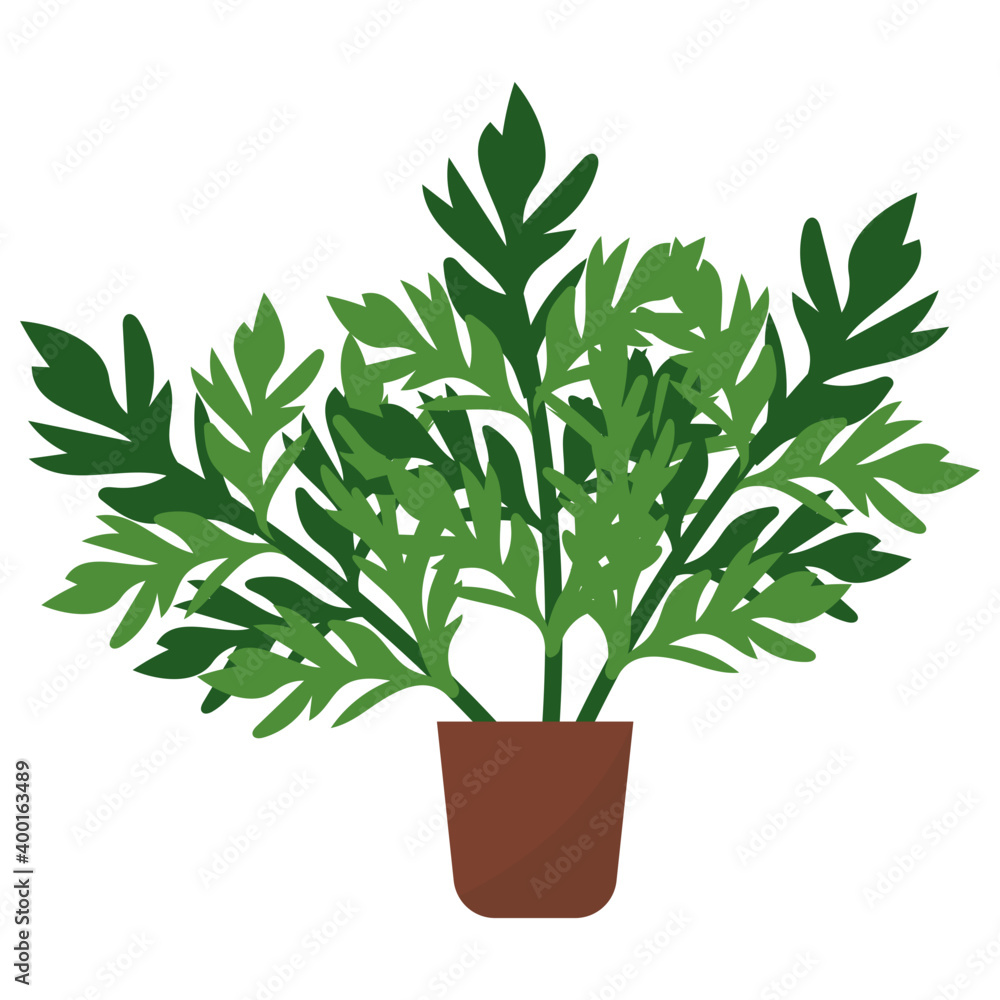 Wall mural mugwort potted plant