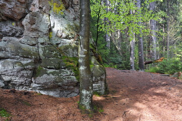 Table Mountains, Poland